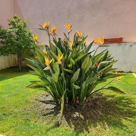 A Casa Da Avo Ana Villa Arneiro das Milharicas Exterior photo