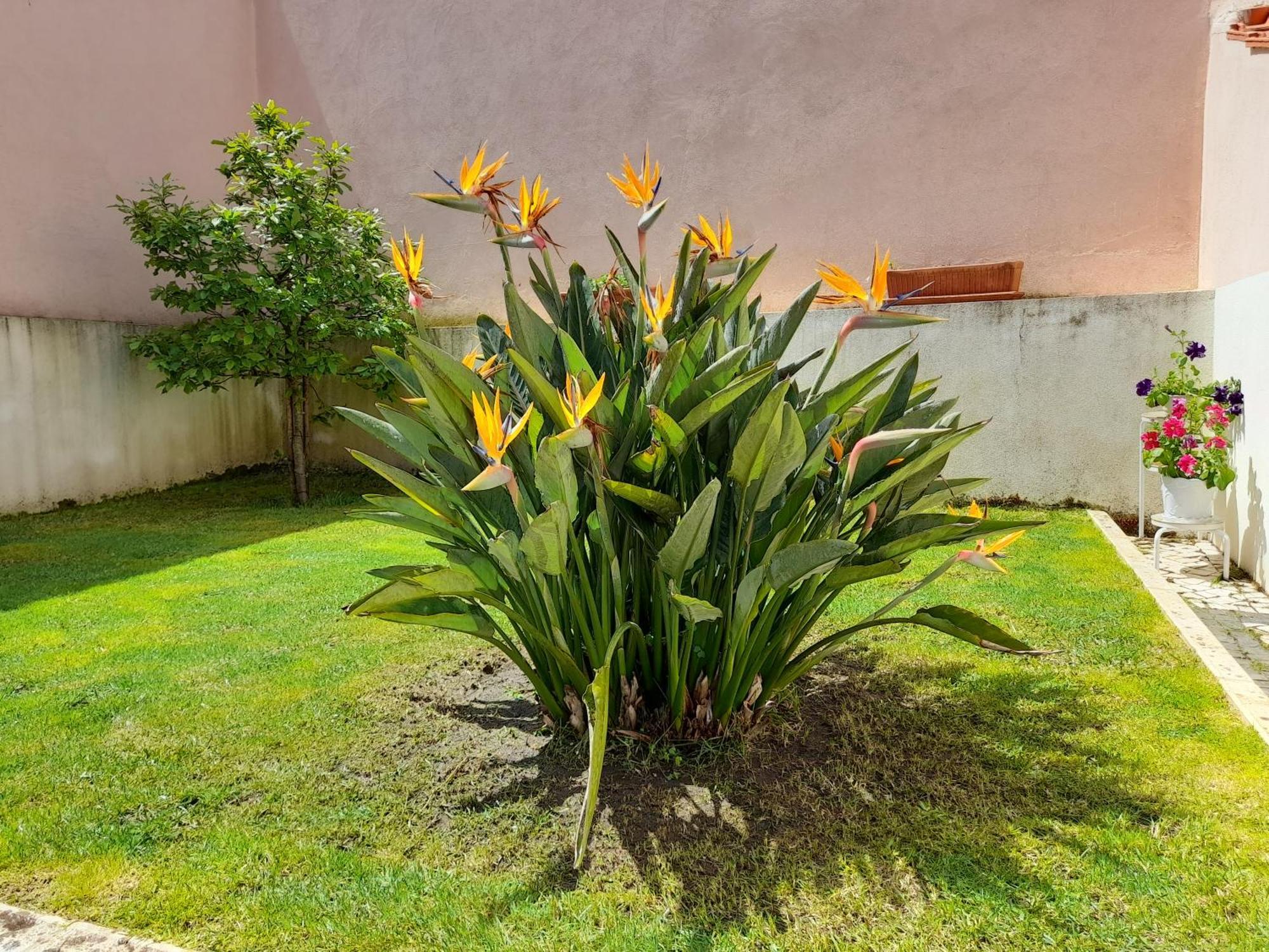 A Casa Da Avo Ana Villa Arneiro das Milharicas Exterior photo